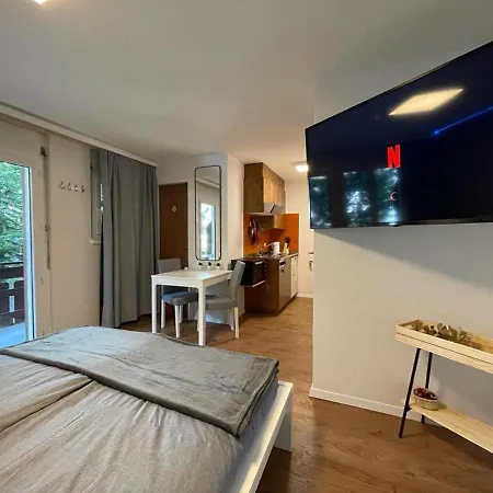 Comfortable Studio Your Near Zermatt